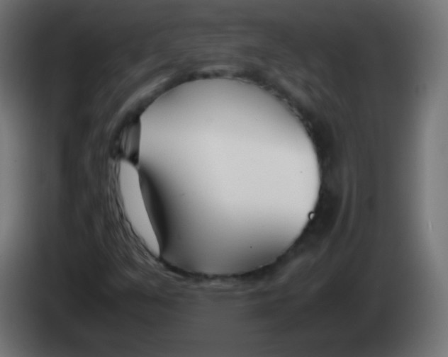 X0000083061351200703022124