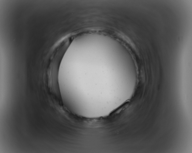 X0000083061352200703022124