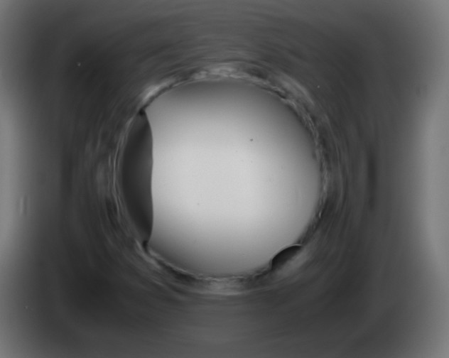 X0000083061353200703022124