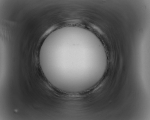 X0000083061354200703022124