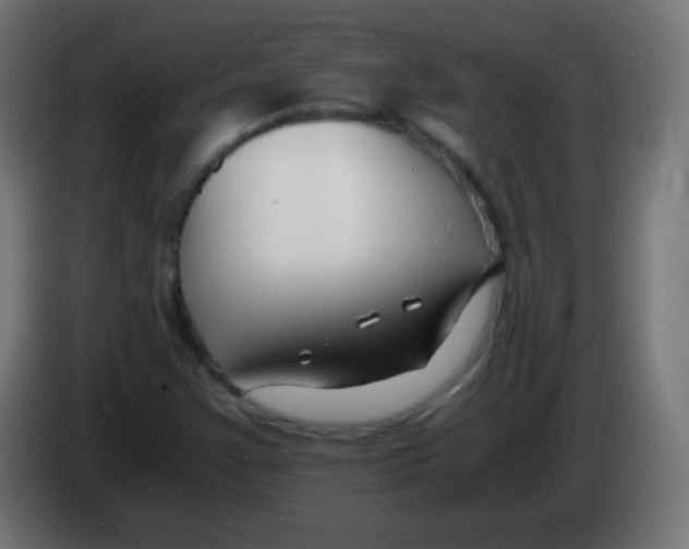 X0000083061355200703022124