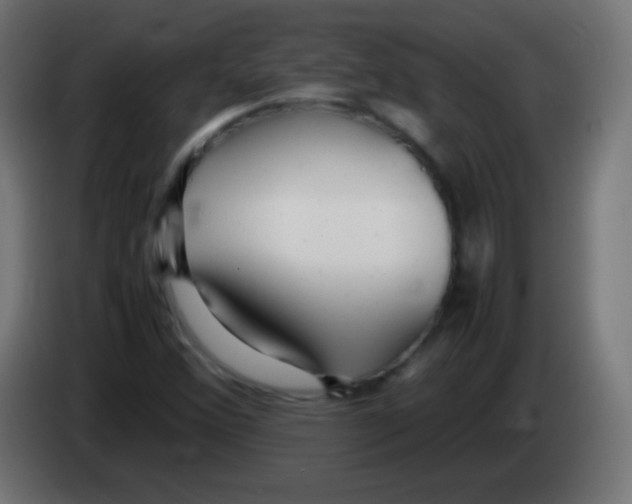 X0000083061356200703022124