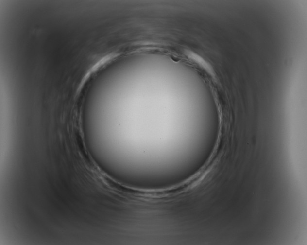 X0000083061357200703022124