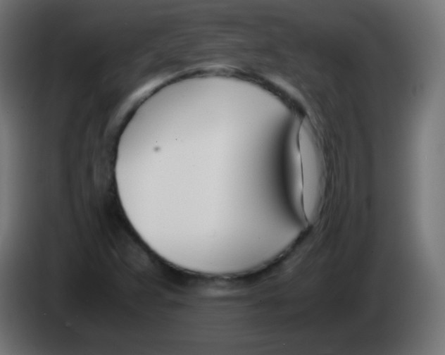 X0000083061359200703022124