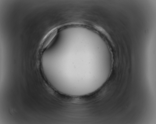 X0000083061360200703022124