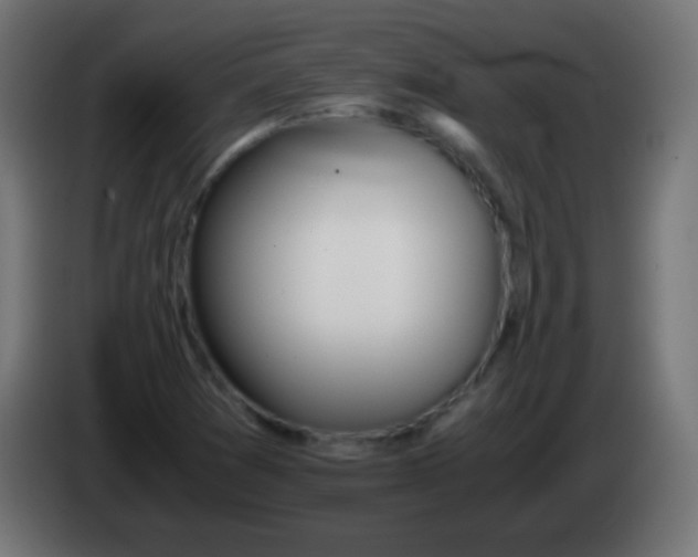 X0000083061361200703022124