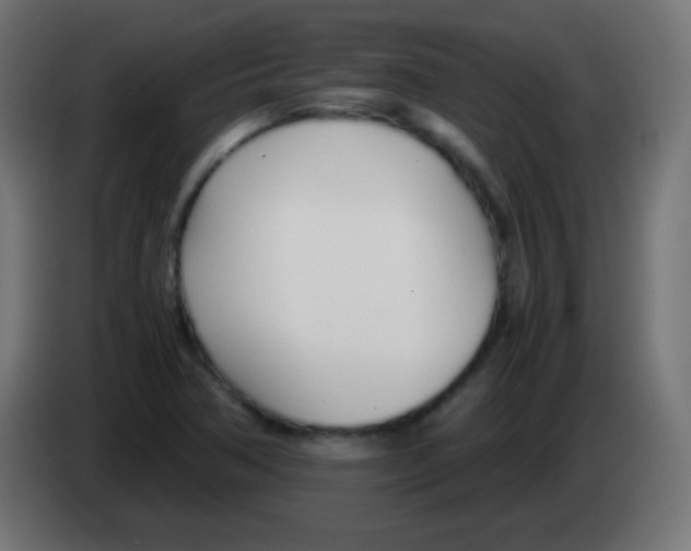 X0000083061362200703022124