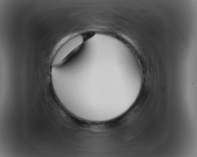 X0000083061363200703022124