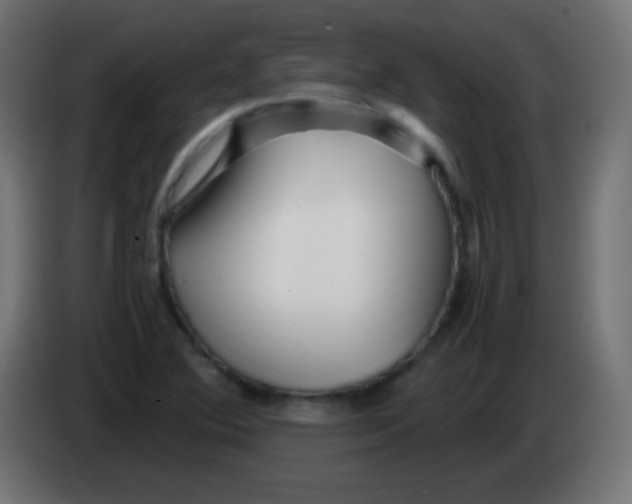 X0000083061364200703022124