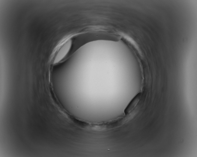 X0000083061365200703022124