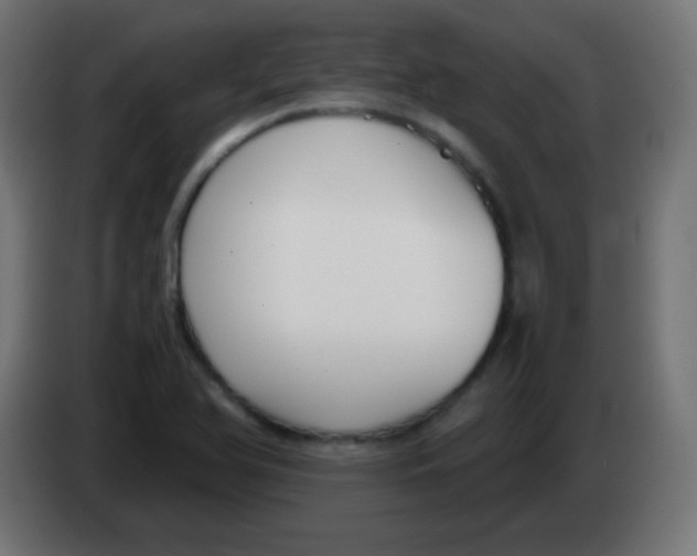 X0000083061366200703022124