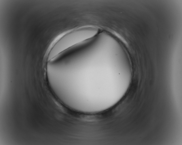 X0000083061367200703022124