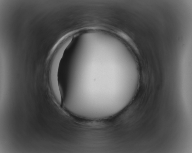 X0000083061368200703022124