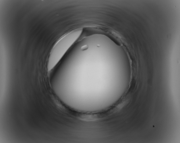 X0000083061369200703022124