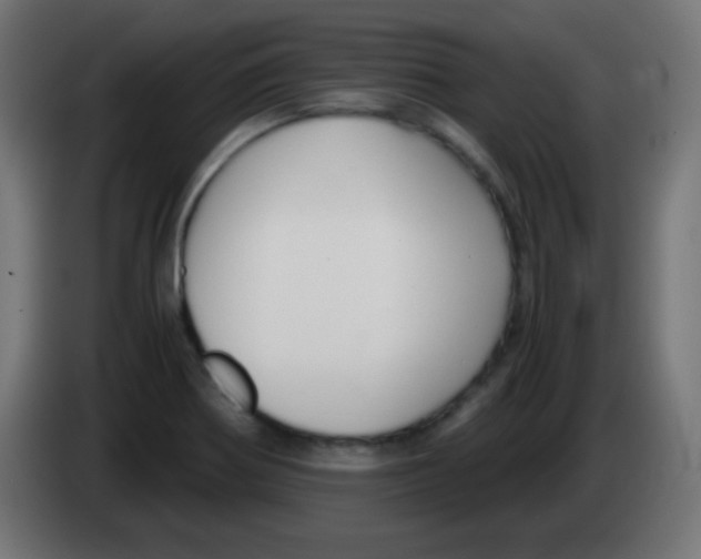 X0000083061370200703022124