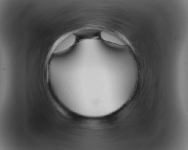 X0000083061371200703022124