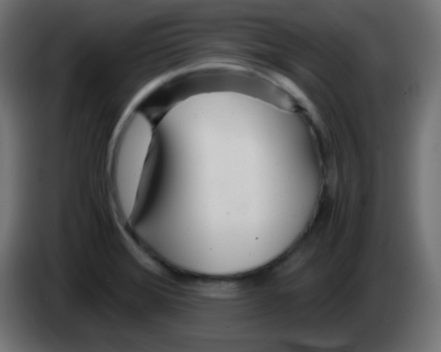 X0000083061372200703022124