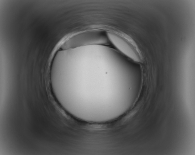 X0000083061373200703022124