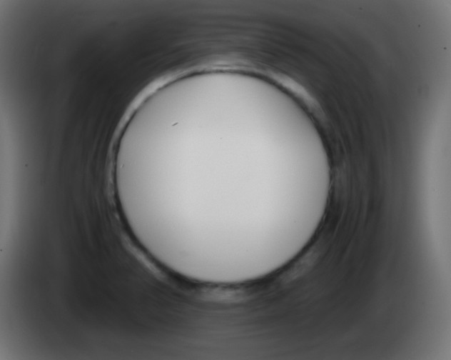 X0000083061374200703022124