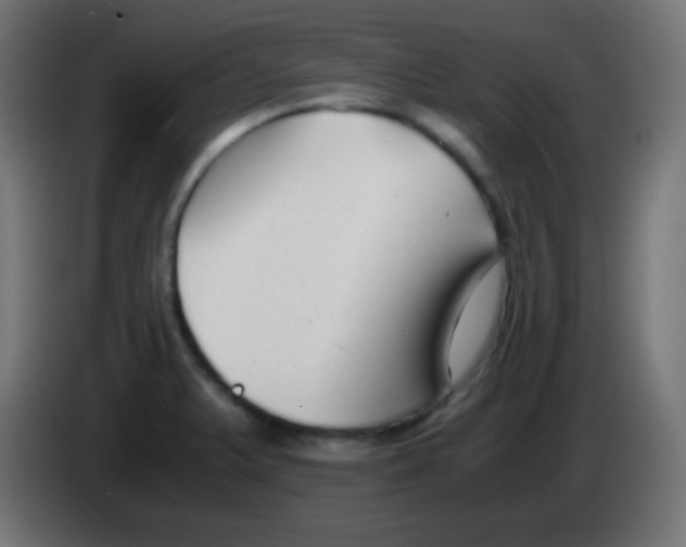 X0000083061375200703022124