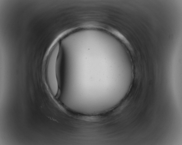 X0000083061376200703022124