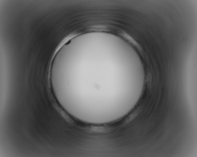 X0000083061378200703022124