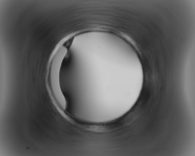 X0000083061379200703022124