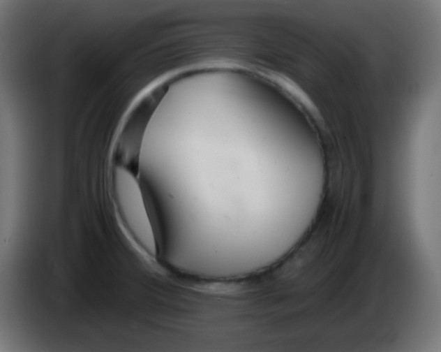 X0000083061380200703022124