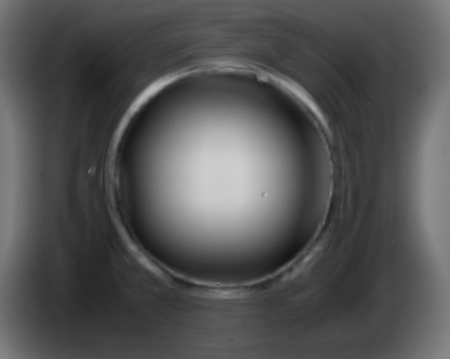 X0000083061381200703022124