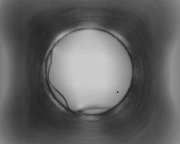 X0000083061382200703022124