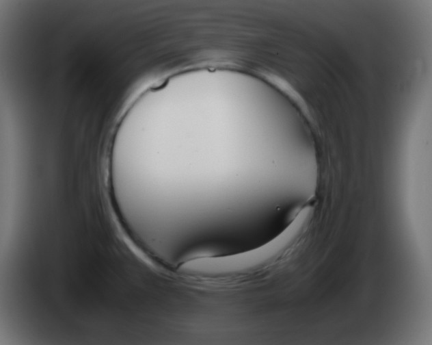 X0000083061383200703022124