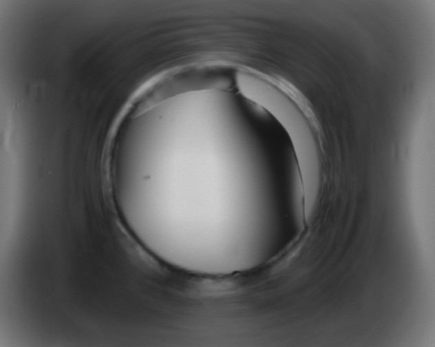 X0000083061384200703022124