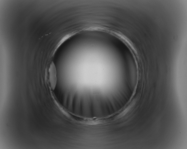 X0000083061385200703022124