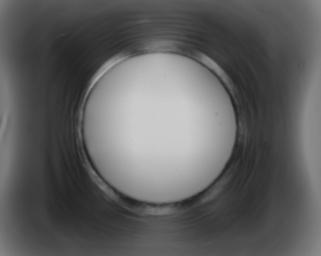 X0000083061386200703022124