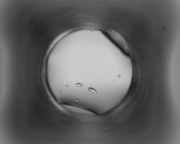 X0000083061387200703022123