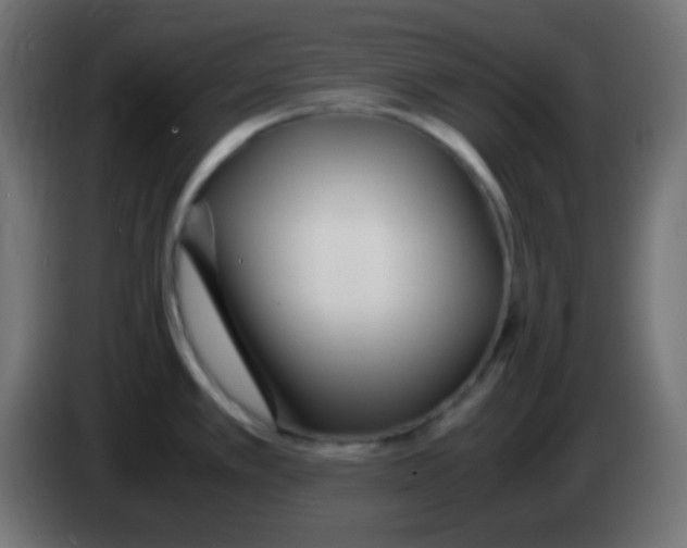 X0000083061389200703022123