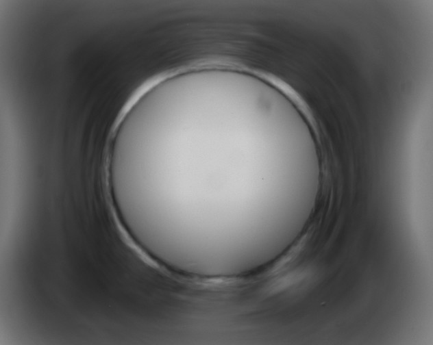 X0000083061390200703022123