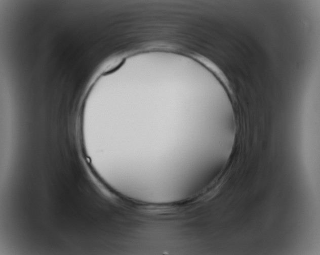 X0000083061391200703022123