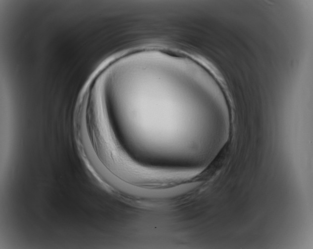 X0000083061392200703022123