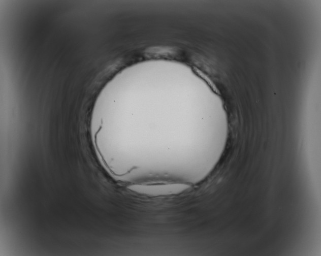 X0000083061393200703022123