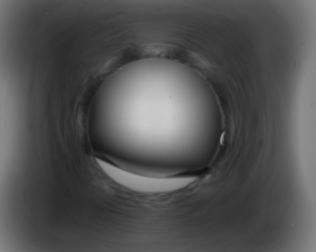 X0000083061394200703022123