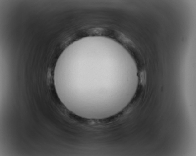 X0000083061395200703022123