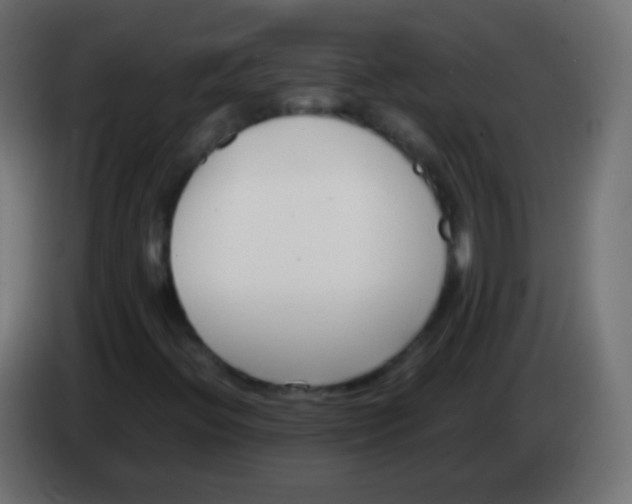 X0000083061396200703022123