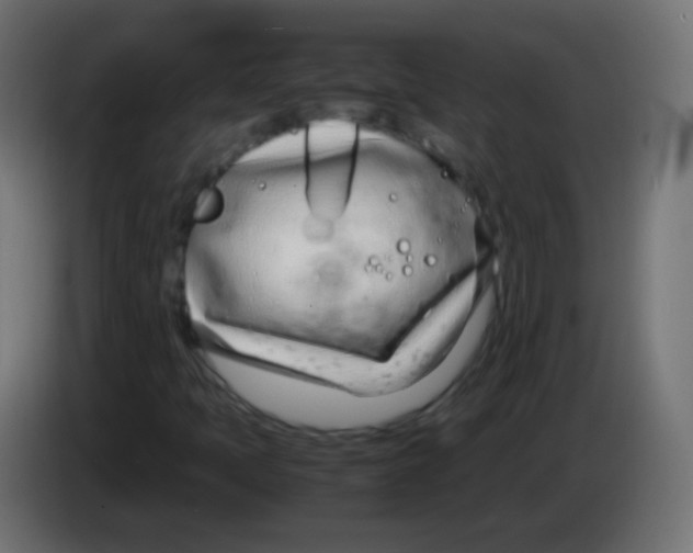 X0000083061397200703022123