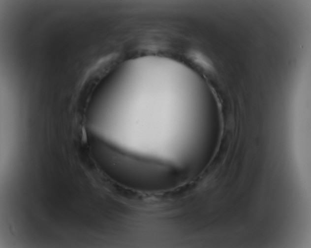 X0000083061398200703022123