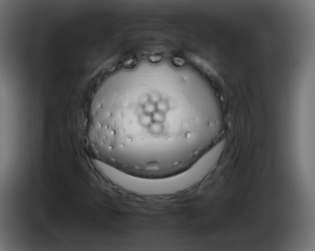 X0000083061399200703022123