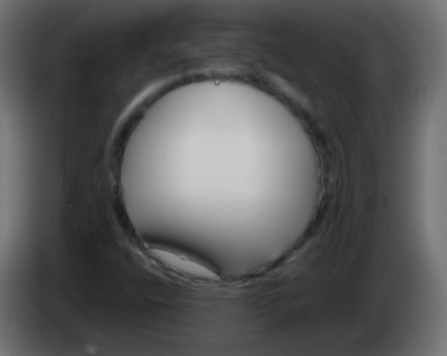 X0000083061400200703022123