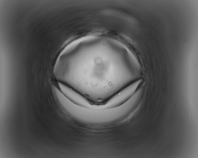 X0000083061401200703022123