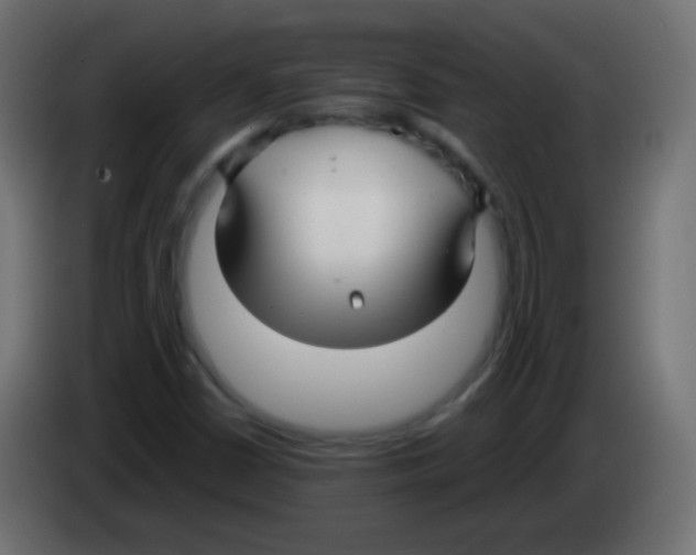 X0000083061402200703022123