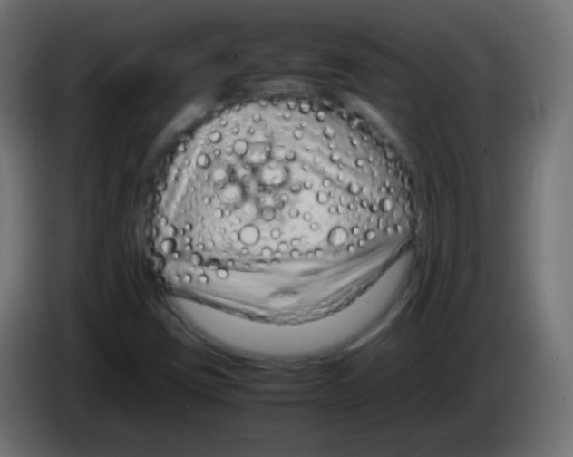 X0000083061403200703022123